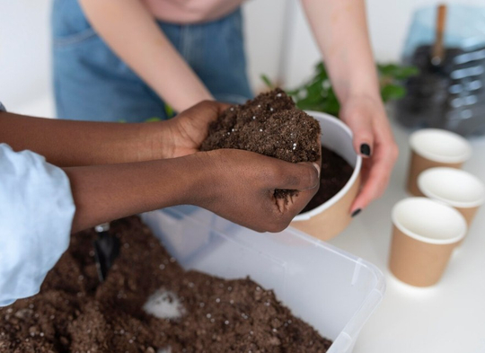 home composting.jpg