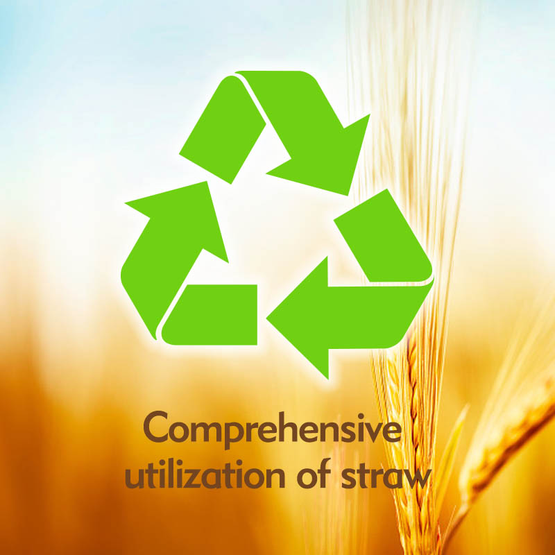 Sunkea / compostable