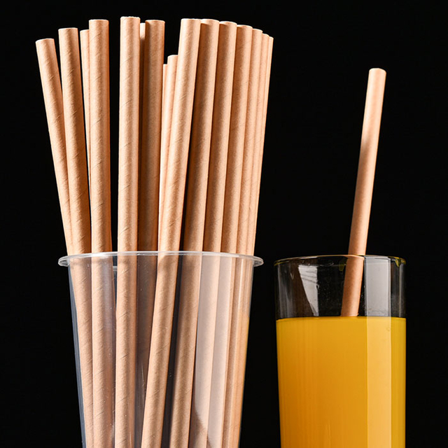 Biodegradable compostable eco amigable kraft bio paja de papel biografía