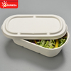  Pulp Bento Lunch Box (con 2 Copartment Opcional)